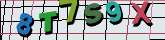 Chuck Norris has counted to infinity. Twice.